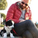 ���������� ������, ���� ������� ����, 44 ����, ������������ 