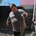 ���������� ��������, ���� ������� ������, 46 ���, ������������ ��� ����� � ���������, c�������� ���������