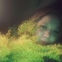 ���������� ������, ���� ������� �����, 37 ���, ������������ ��� ������, ����� � ���������, c�������� ���������, ���������