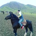 ���������� ������, ���� ������� ���������, 38 ���, ������������ ��� ������, ����� � ���������