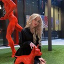 ���������� ������, ���� ������� �����, 27 ���, ������������ ��� ������, ����� � ���������