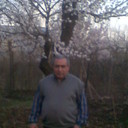  ,   Galust, 69 ,   