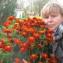 ���������� �������, ���� ������� �������, 48 ���, ������������ 