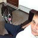 ���������� ���������, ���� ������� ���, 37 ���, ������������ ��� ������, ����� � ���������, c�������� ���������