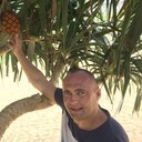 ���������� �����, ���� ������� ������, 41 ���, ������������ ��� ������, ����� � ���������, c�������� ���������