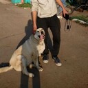 ���������� ������, ���� ������� �� �������, 30 ���, ������������ ��� ������, ����� � ���������