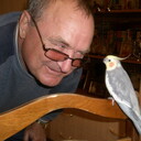  ,   , 65 ,   ,   