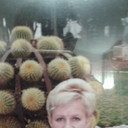 ���������� ������, ���� ������� ������, 63 ����, ������������ ��� ����� � ���������, c�������� ���������