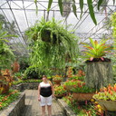  ,   , 65 ,   ,   , c 