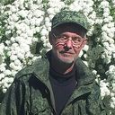 ���������� ������, ���� ������� �����, 71 ���, ������������ ��� ����� � ���������, c�������� ���������