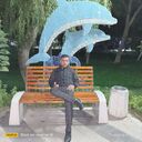  -,   DIMA, 34 ,   ,   
