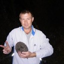 ���������� �������, ���� ������� ��������, 40 ���, ������������ ��� ����� � ���������, c�������� ���������