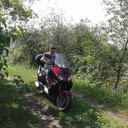 ���������� ������, ���� ������� �����, 41 ���, ������������ ��� ������, ����� � ���������, c�������� ���������