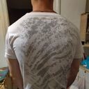 ���������� ����, ���� ����� �����, 23 ����, ������������ ��� ������, ����� � ���������, ���������