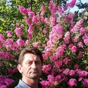  ,   , 49 ,   
