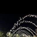 ���������� ���������, ���� ������� �����, 39 ���, ������������ ��� c�������� ���������