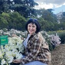 ���������� �����������, ���� ������� ������, 59 ���, ������������ ��� c�������� ���������