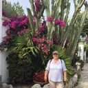  ,   , 56 ,   c 