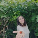 ���������� �����������, ���� ������� �����, 27 ���, ������������ 