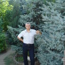 ���������� ��������, ���� ������� �����, 55 ���, ������������ ��� ������