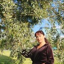  -,   , 42 ,   ,   , c 