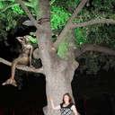 ���������� �������, ���� ������� �����, 58 ���, ������������ ��� ������, ����� � ���������, c�������� ���������