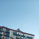  ,   Sergei, 44 ,     , c 