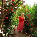 ���������� ���������, ���� ������� ��������, 70 ���, ������������ ��� c�������� ���������