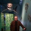 ���������� �����-���������, ���� ������� �������, 44 ����, ������������ ��� ������, ����� � ���������, c�������� ���������