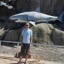 ���������� �����������, ���� ������� �����, 42 ����, ������������ ��� c�������� ���������