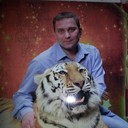  ,   , 51 ,   