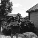 ���������� ���, ���� ������� �������, 41 ���, ������������ ��� ������, ����� � ���������, c�������� ���������