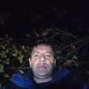 ���������� ����������, ���� ������� Roman, 41 ���, ������������ ��� ������, ����� � ���������, c�������� ���������, ���������