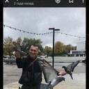 ���������� ������������, ���� ������� Artek, 41 ���, ������������ ��� c�������� ���������