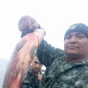 ���������� �����������, ���� ������� ��������, 40 ���, ������������ ��� ������, ����� � ���������