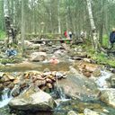 ���������� ���������, ���� ������� ������, 41 ���, ������������ ��� ������