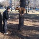 ���������� ����, ���� ������� ���������, 33 ����, ������������ ��� ������, ���������