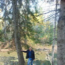 ���������� �������, ���� ������� ���������, 36 ���, ������������ ��� ������, ����� � ���������, c�������� ���������