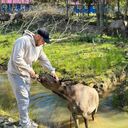 ���������� ������� ��������, ���� ����� Nikita, 22 ����, ������������ ��� ������, ����� � ���������, ���������