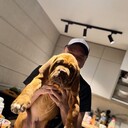 ���������� �����������, ���� ������� ���������, 45 ���, ������������ ��� ������, ����� � ���������, c�������� ���������, ���������