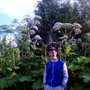 ���������� ����-���, ���� ������� ������, 29 ���, ������������ ��� ������, ����� � ���������, c�������� ���������