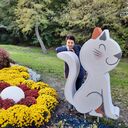 ���������� ������, ���� ������� �����, 65 ���, ������������ ��� ����� � ���������, c�������� ���������