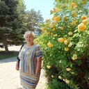  ,   , 50 ,   c 