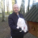 ���������� �����-���������, ���� ������� �������, 49 ���, ������������ ��� ������, ����� � ���������, c�������� ���������