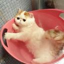 ���������� �������, ���� ������� ����, 35 ���, ������������ ��� ������, ����� � ���������, c�������� ���������