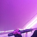 ���������� �����������, ���� ����� ������, 24 ����, ������������ ��� ������, ����� � ���������