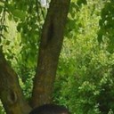 ���������� ���������, ���� ������� �����, 34 ����, ������������ ��� ������, ����� � ���������, c�������� ���������