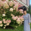 ���������� �������, ���� ������� �����, 50 ���, ������������ ��� ������, ����� � ���������, c�������� ���������