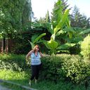  ,   Olik, 36 ,   