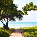 ���������� �����, ���� ������� ����, 49 ���, ������������ ��� ����� � ���������, c�������� ���������, ���������